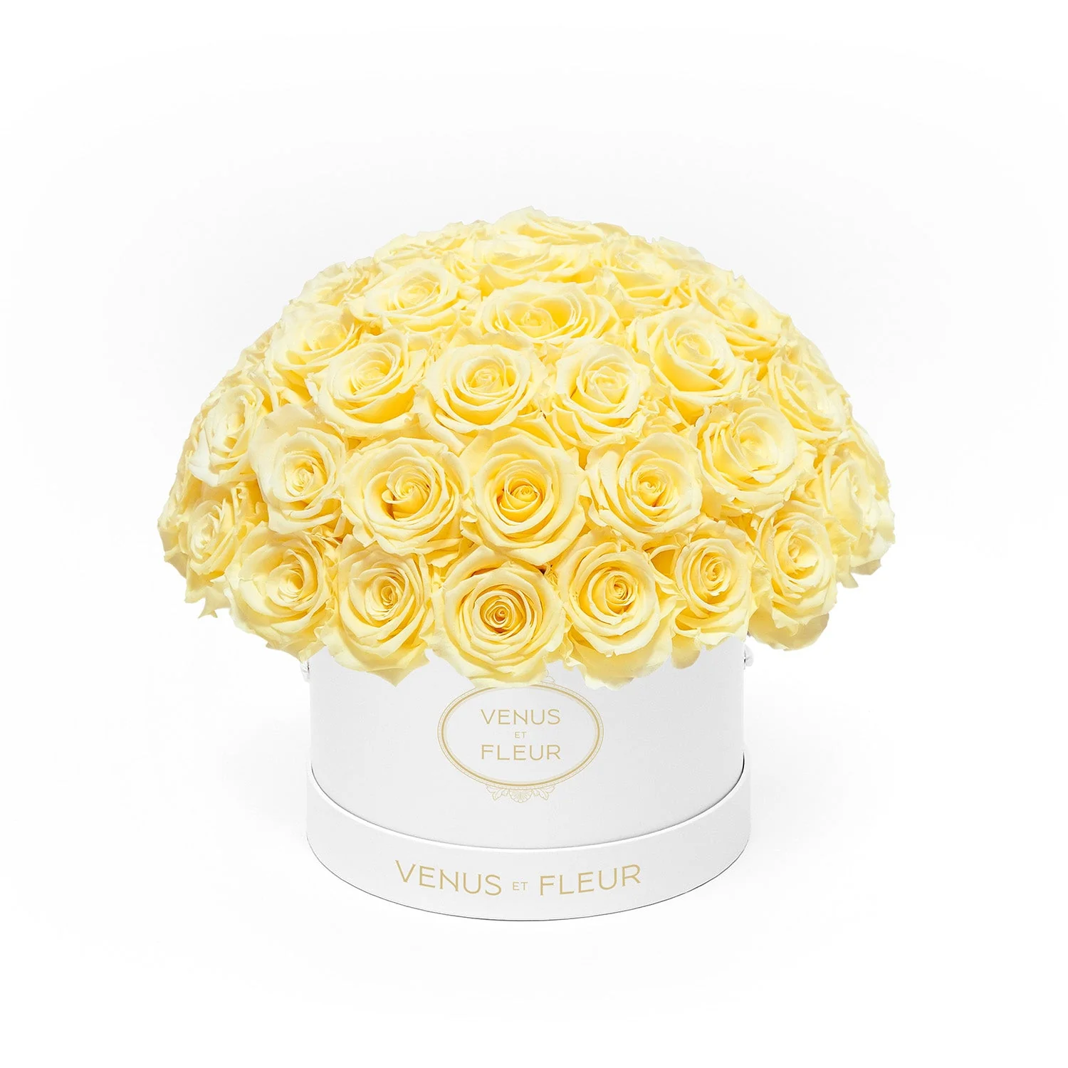 Small Le Plein - Image 16