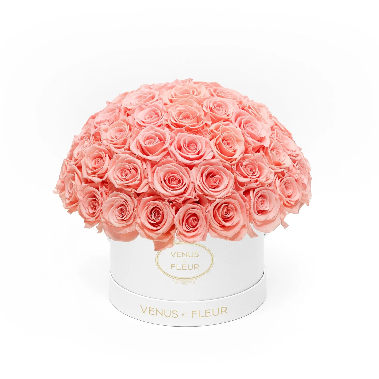 Small Le Plein - Image 17