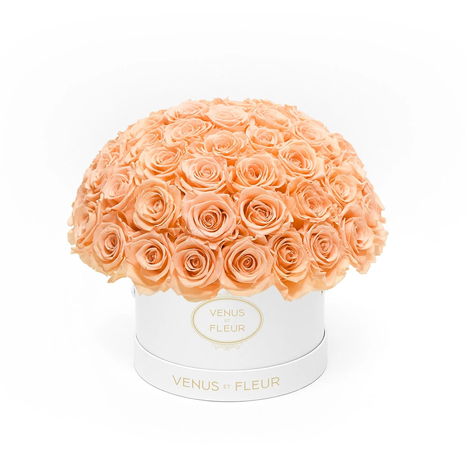 Small Le Plein - Image 21