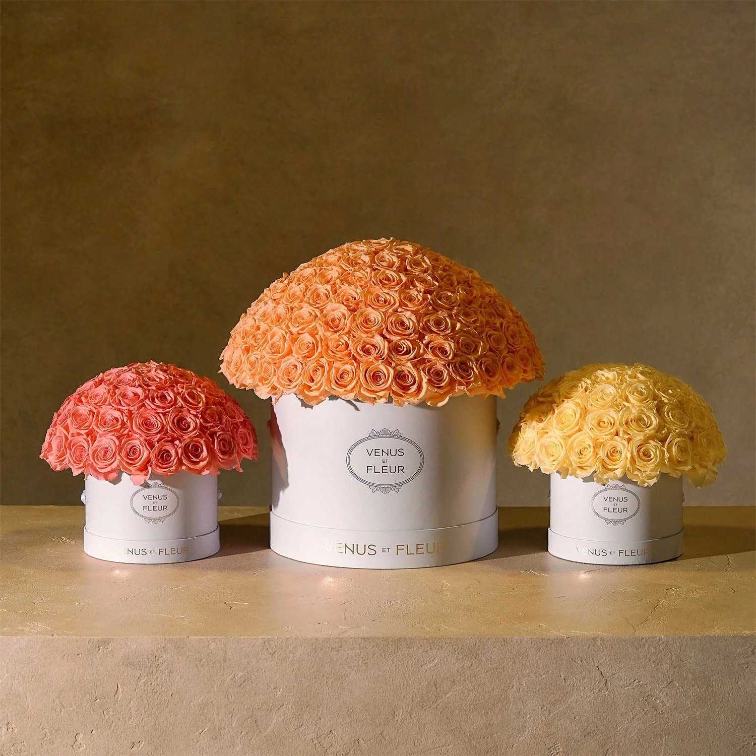 Small Le Plein - Image 22