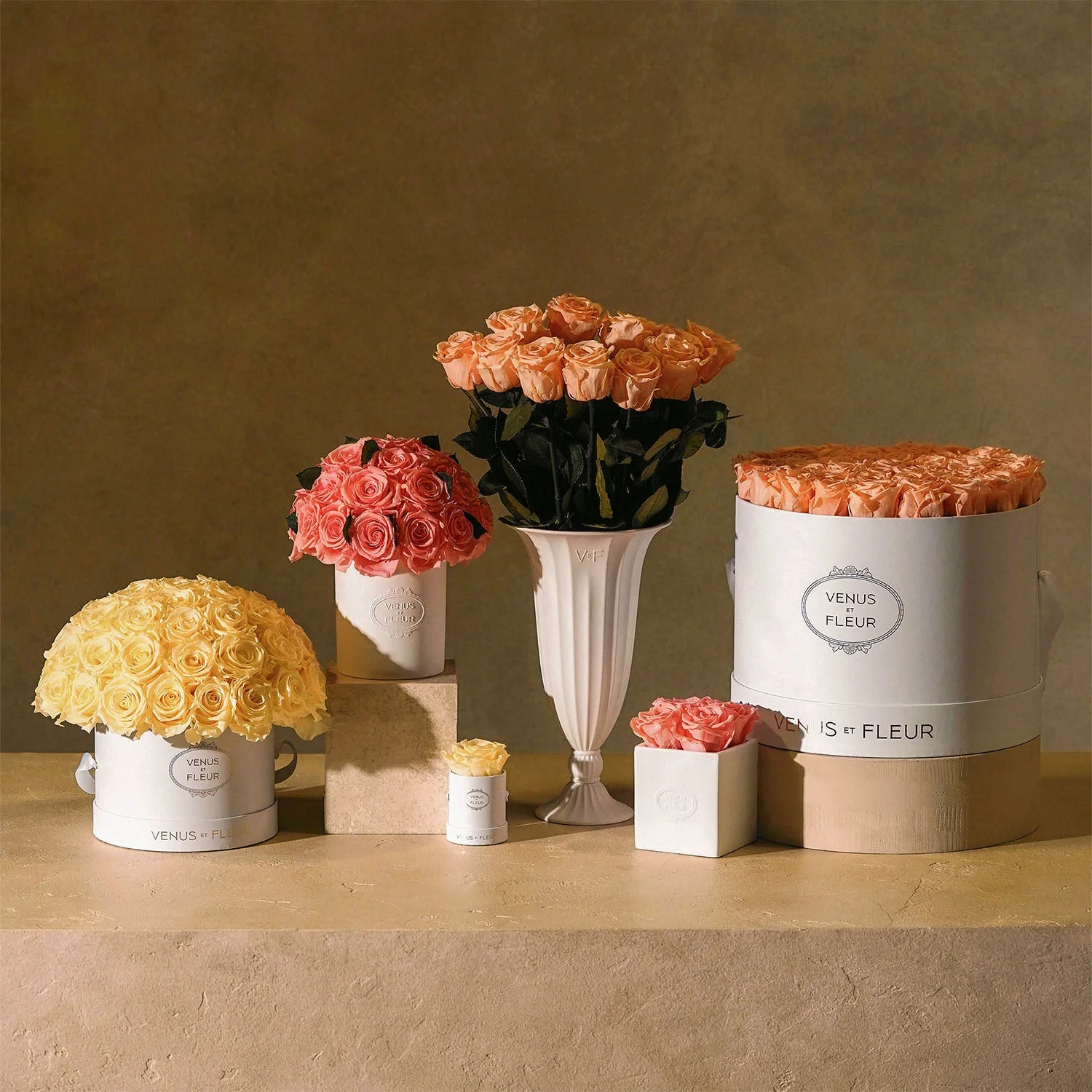 Small Le Plein - Image 23