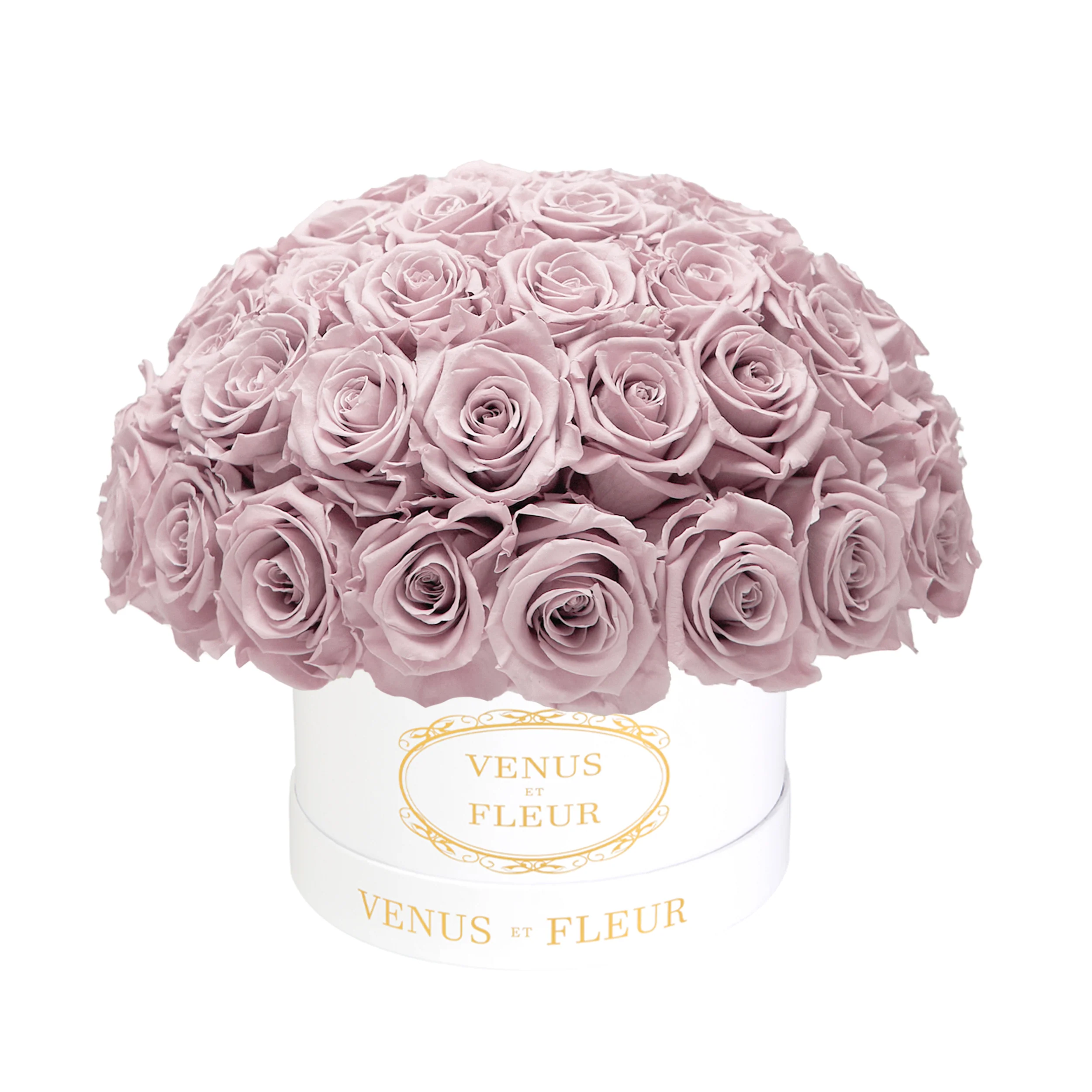 Small Le Plein - Image 24