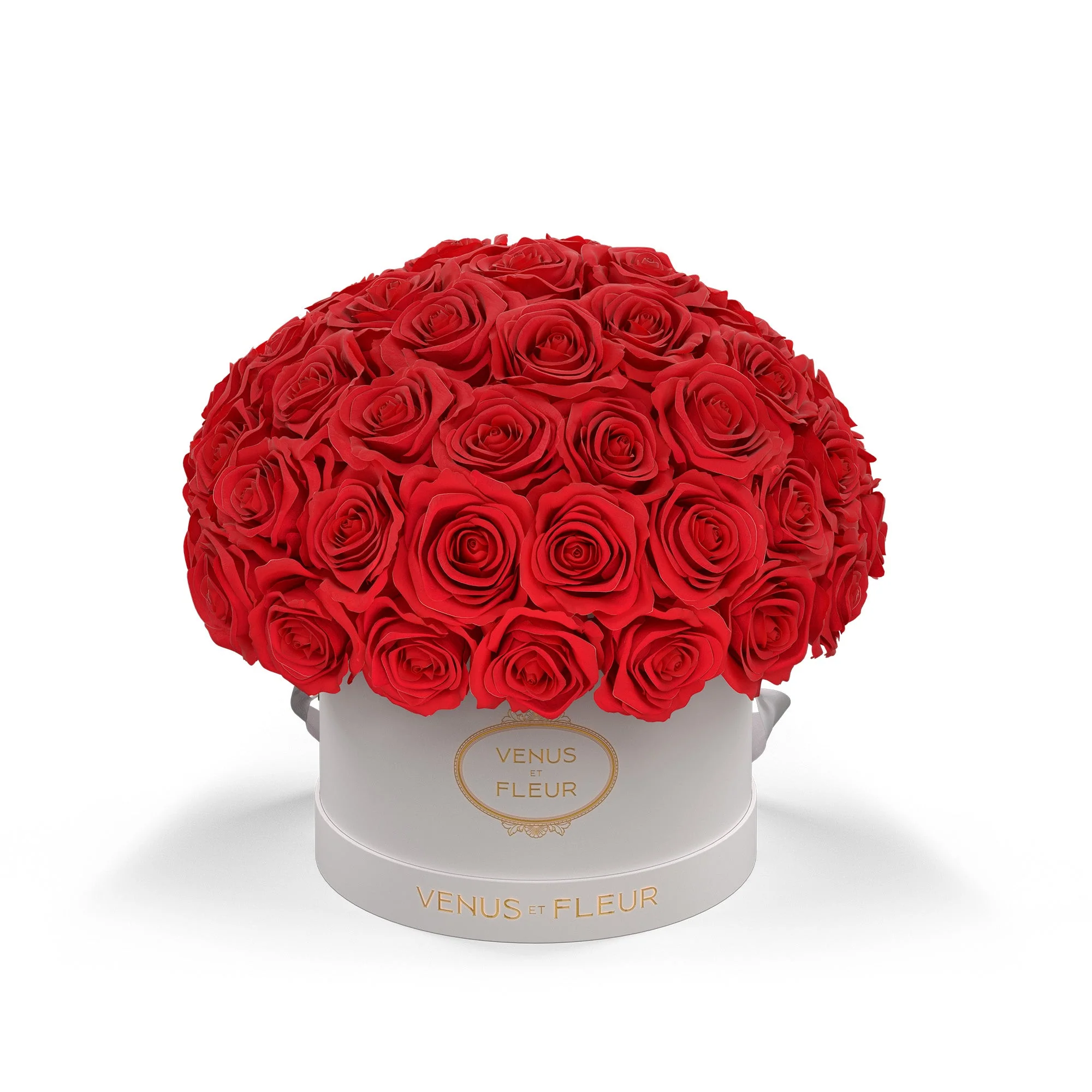 Small Le Plein - Image 3