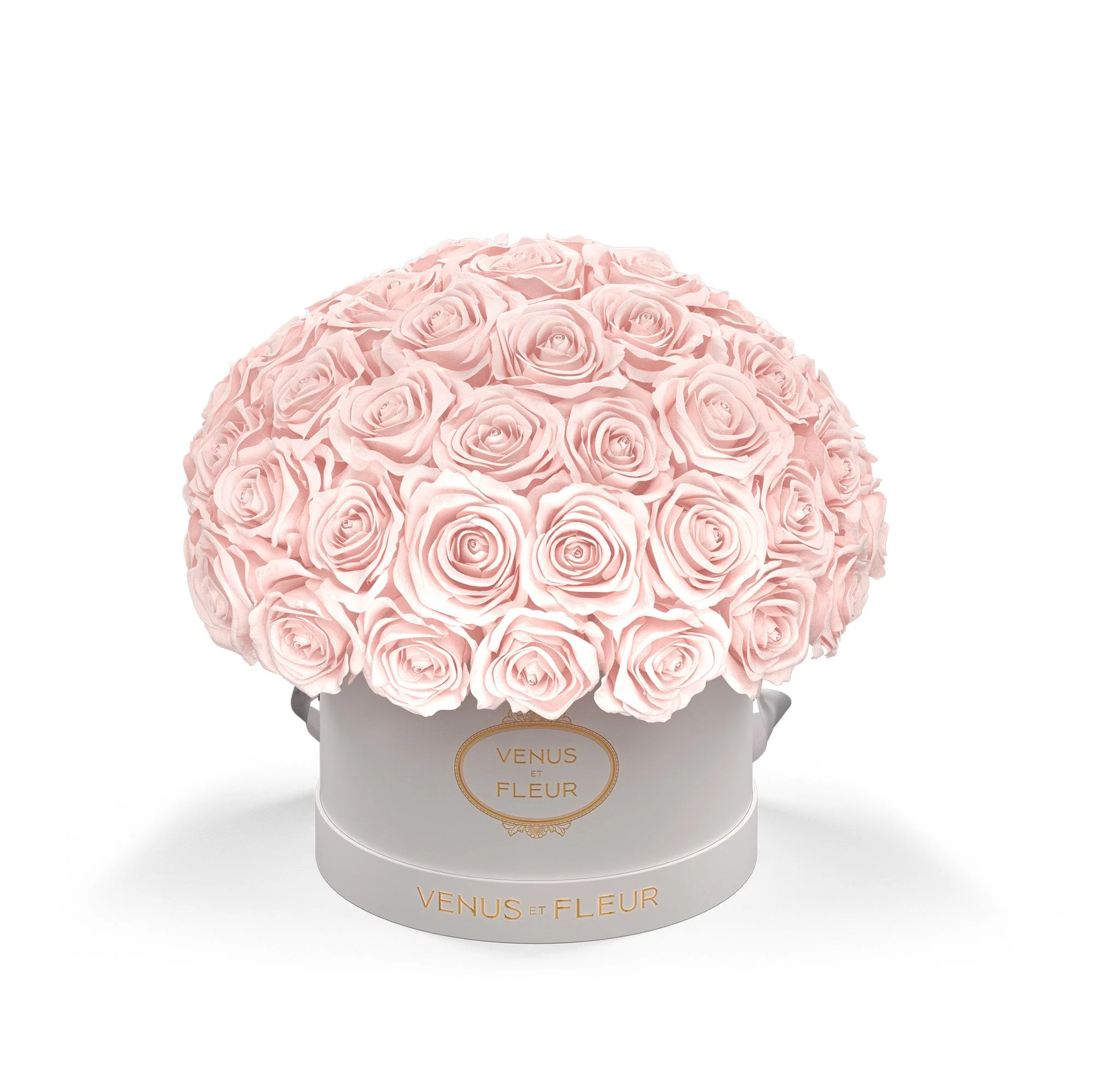 Small Le Plein - Image 4