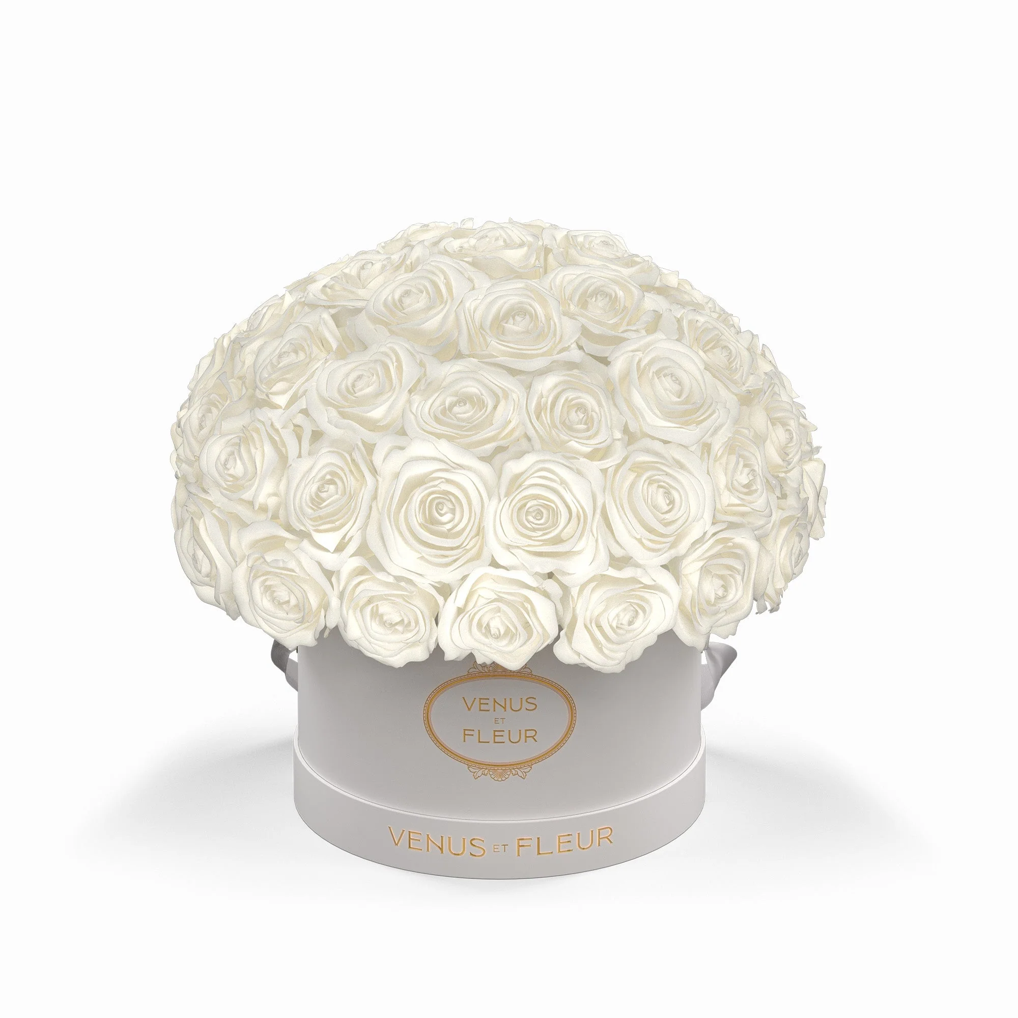 Small Le Plein - Image 5