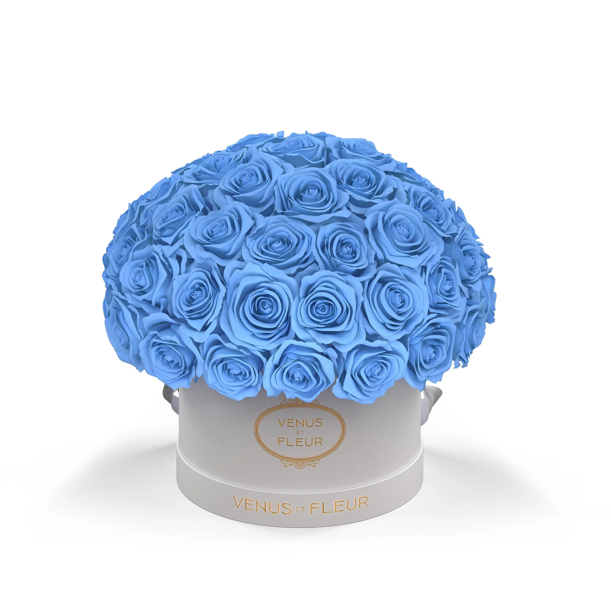 Small Le Plein - Image 6