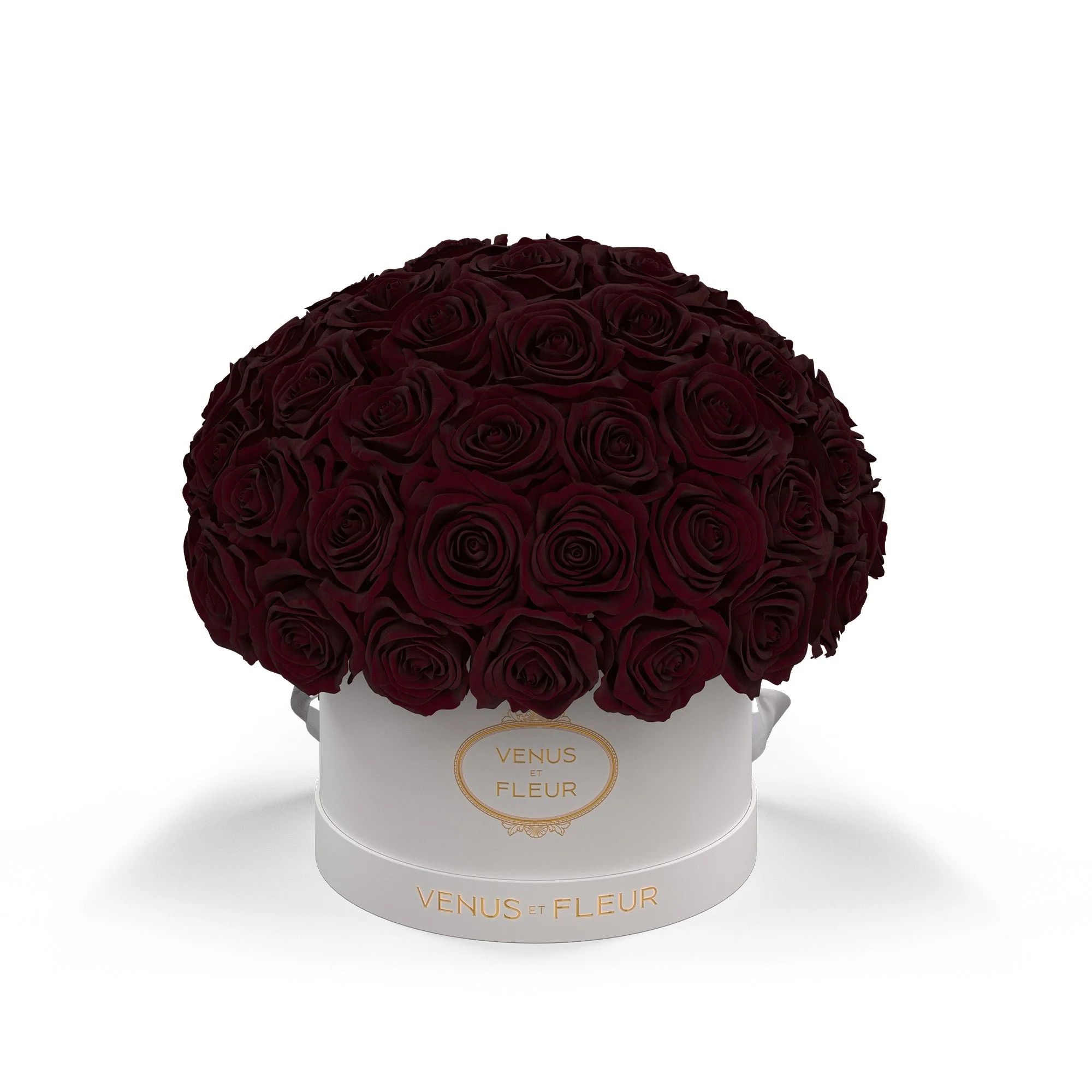 Small Le Plein - Image 7