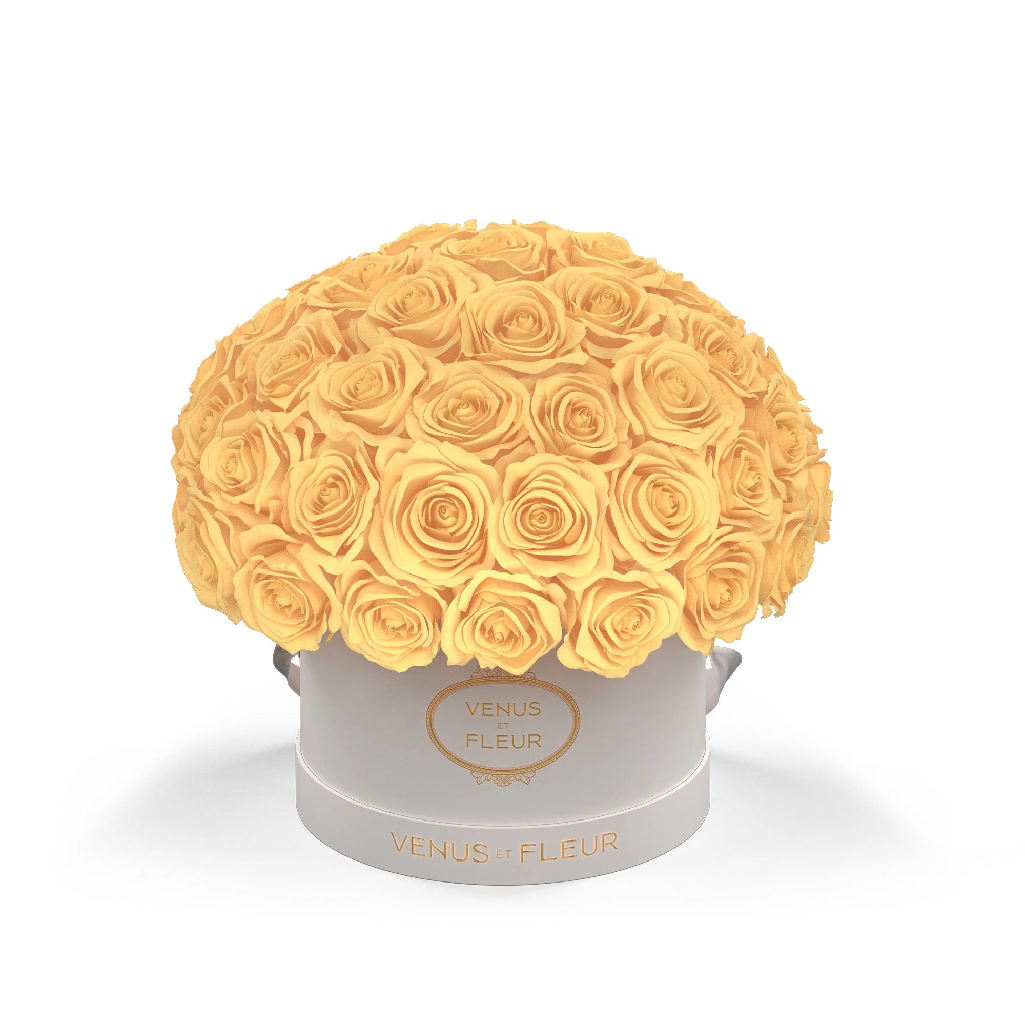 Small Le Plein - Image 8