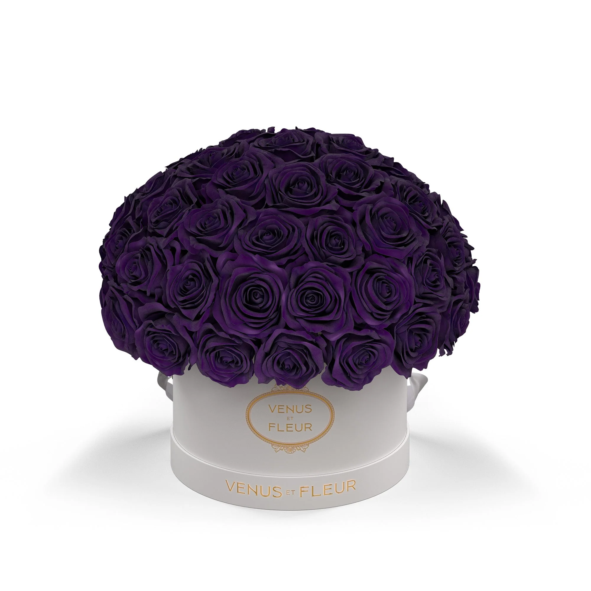 Small Le Plein - Image 9