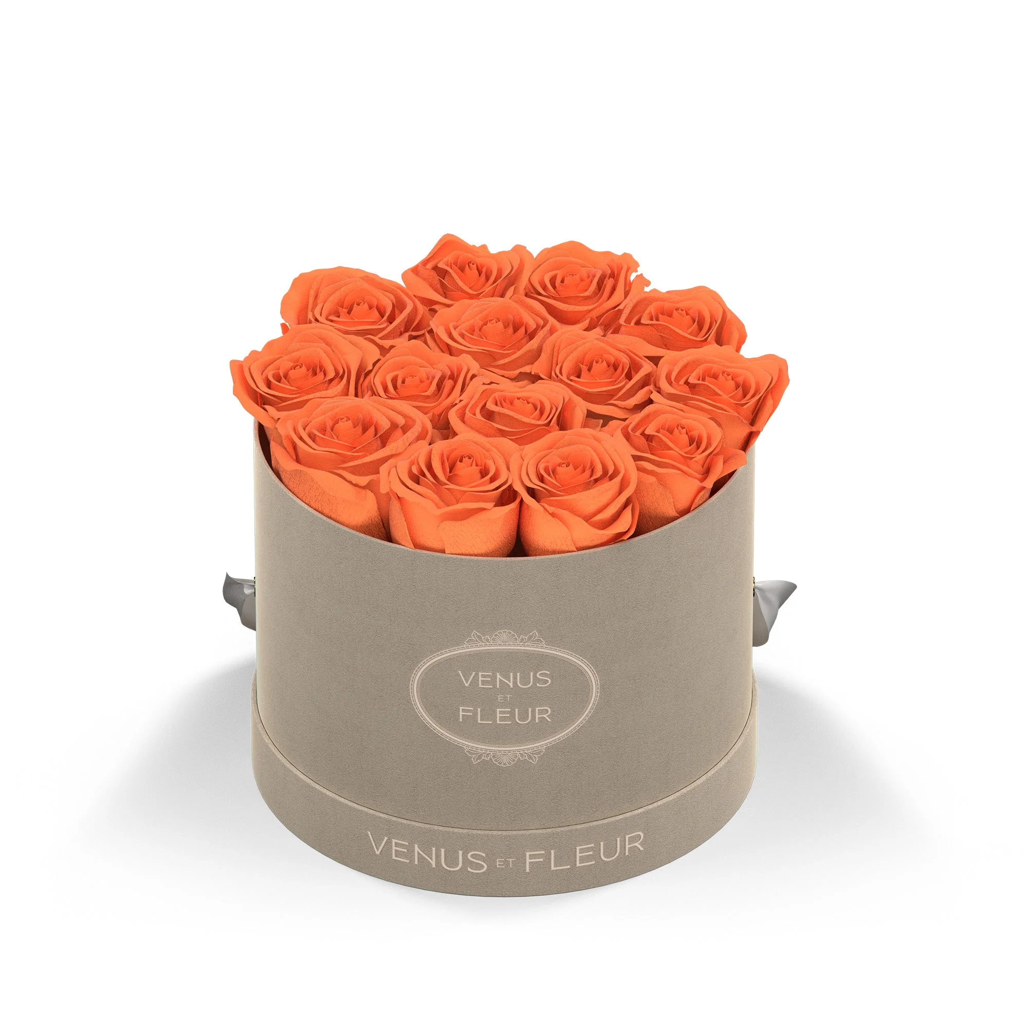 Small Round - Image 5