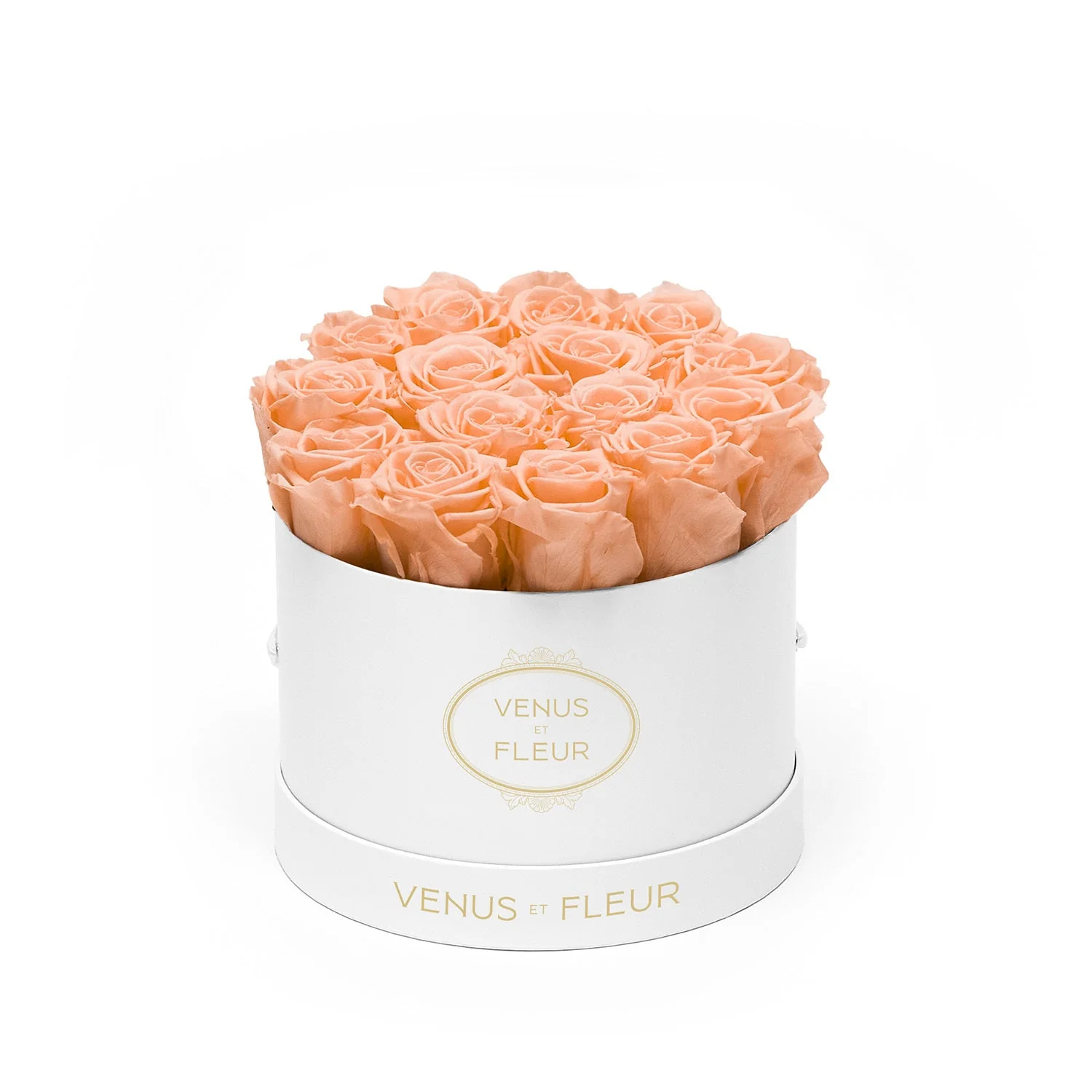 Small Round - Image 12