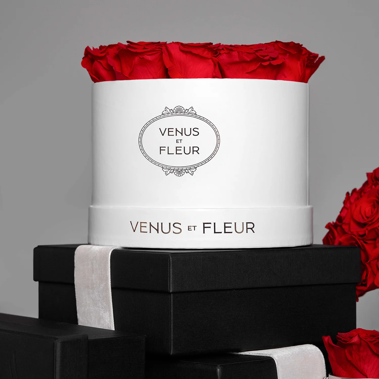 Small Round - Image 13