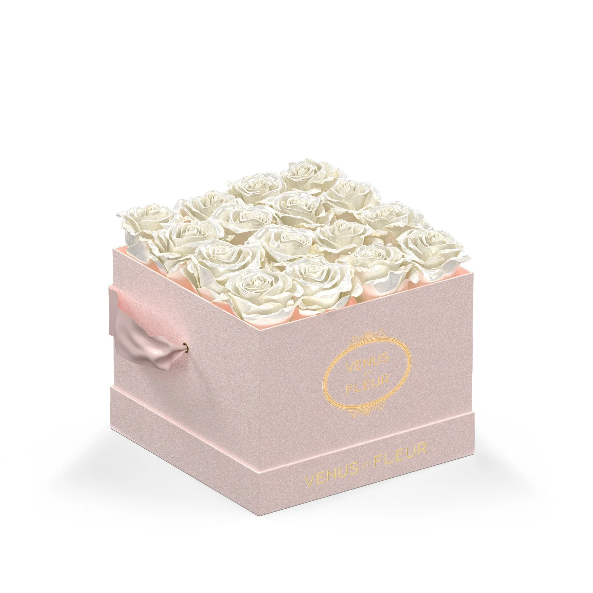 Small Square - Image 3