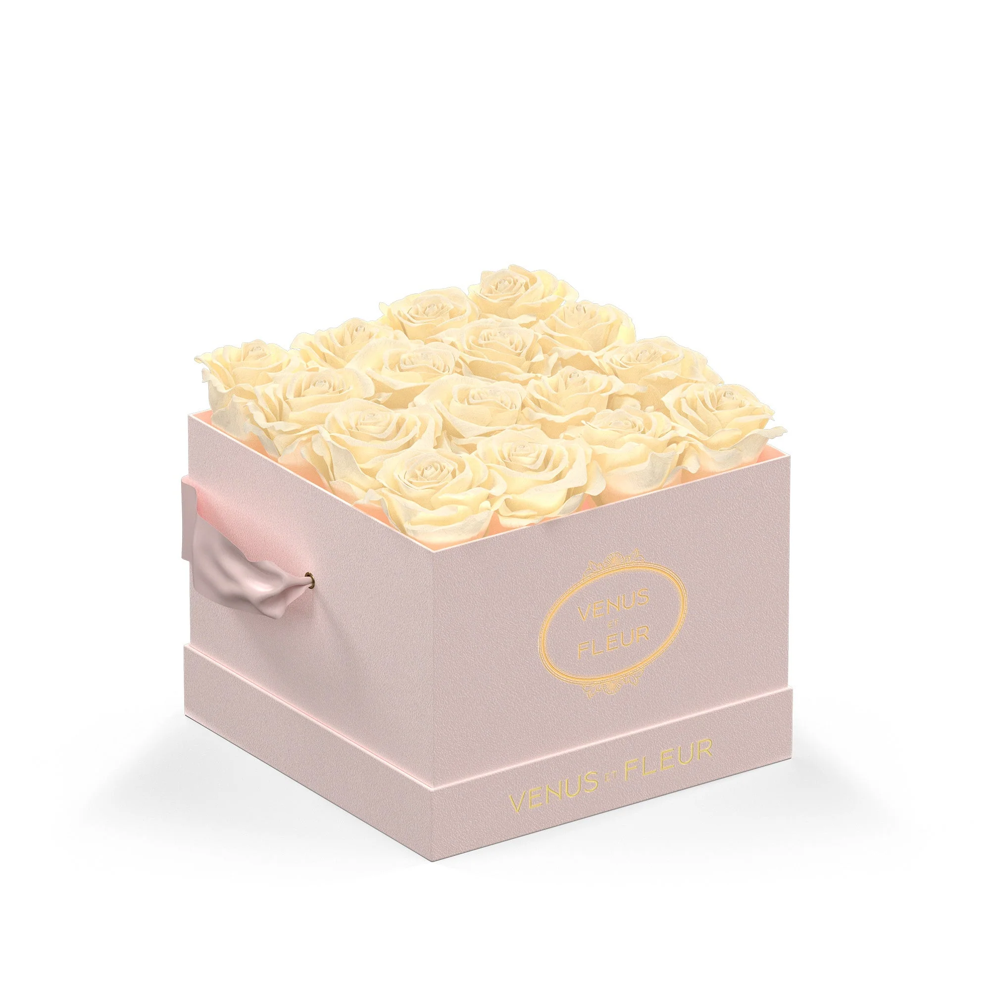 Small Square - Image 4