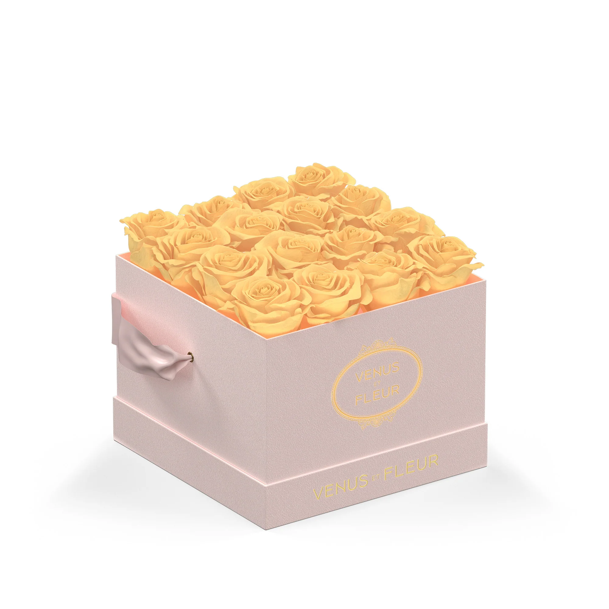 Small Square - Image 5