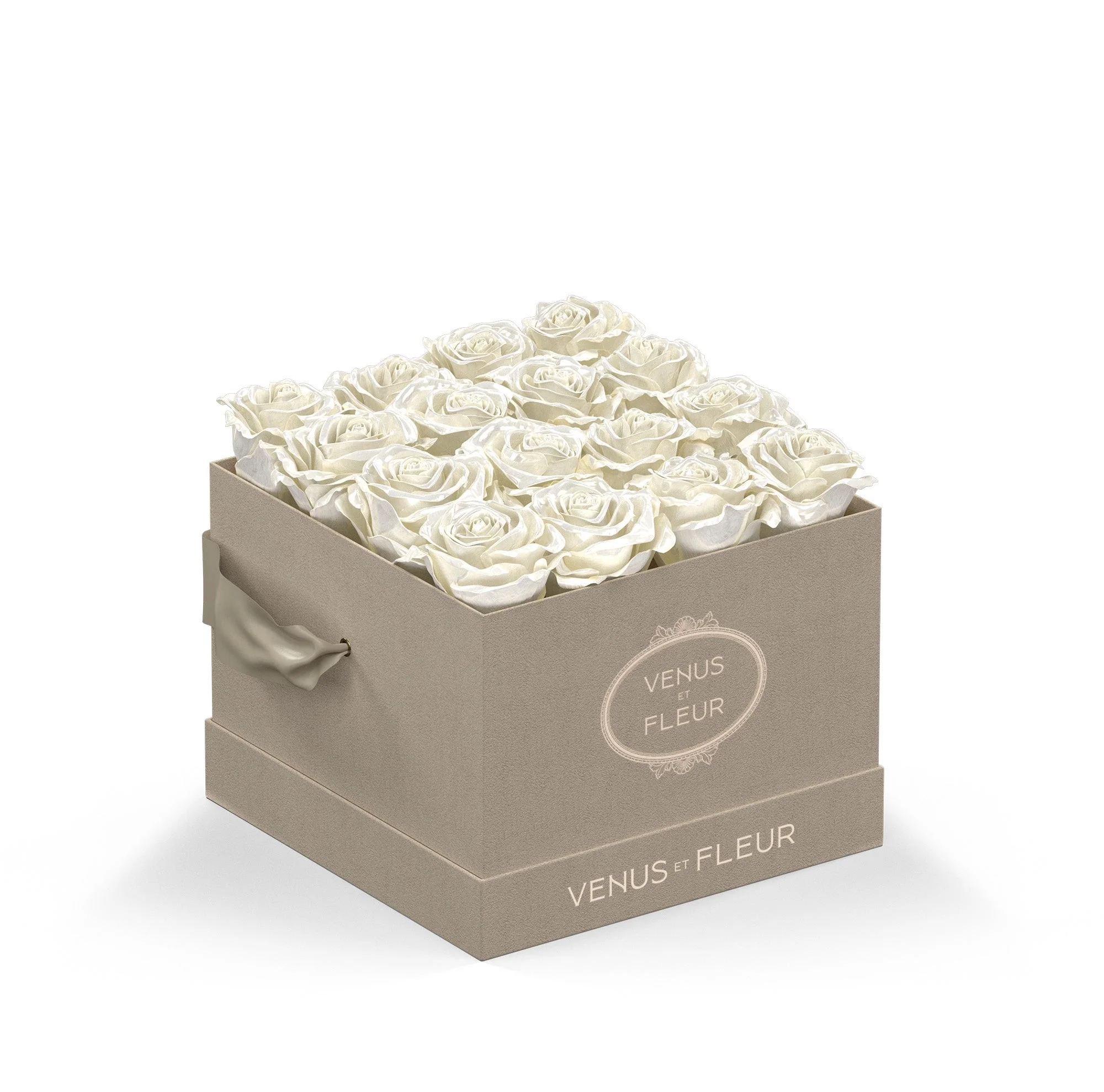 Small Square - Image 3