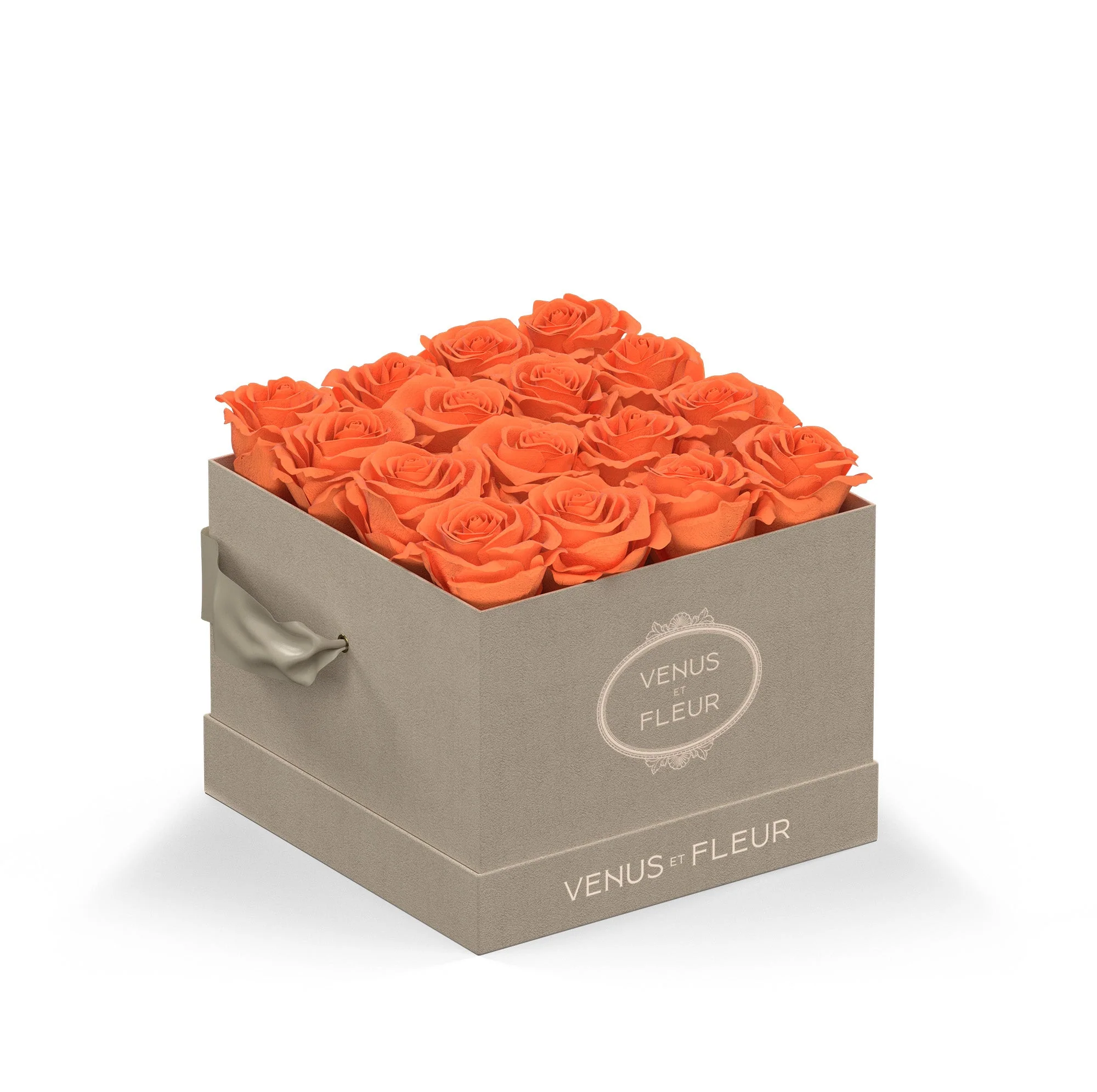 Small Square - Image 5