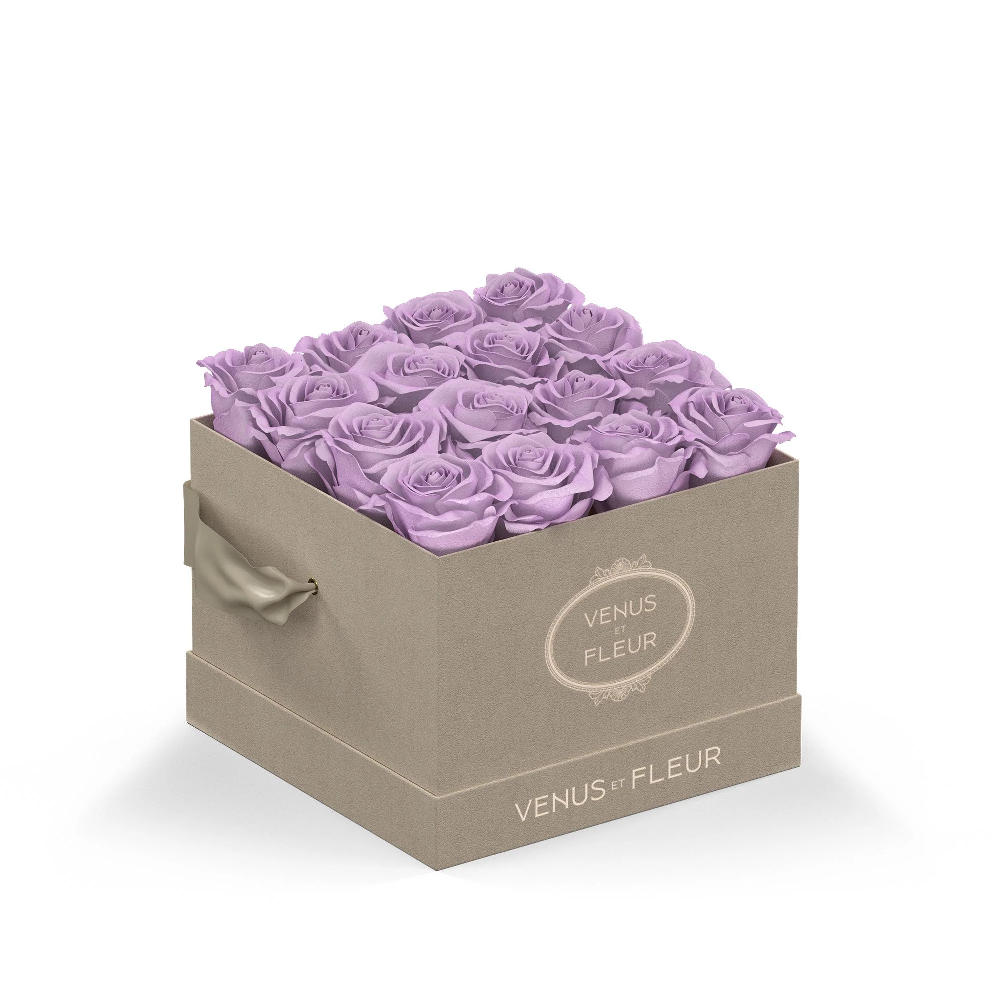 Small Square - Image 6