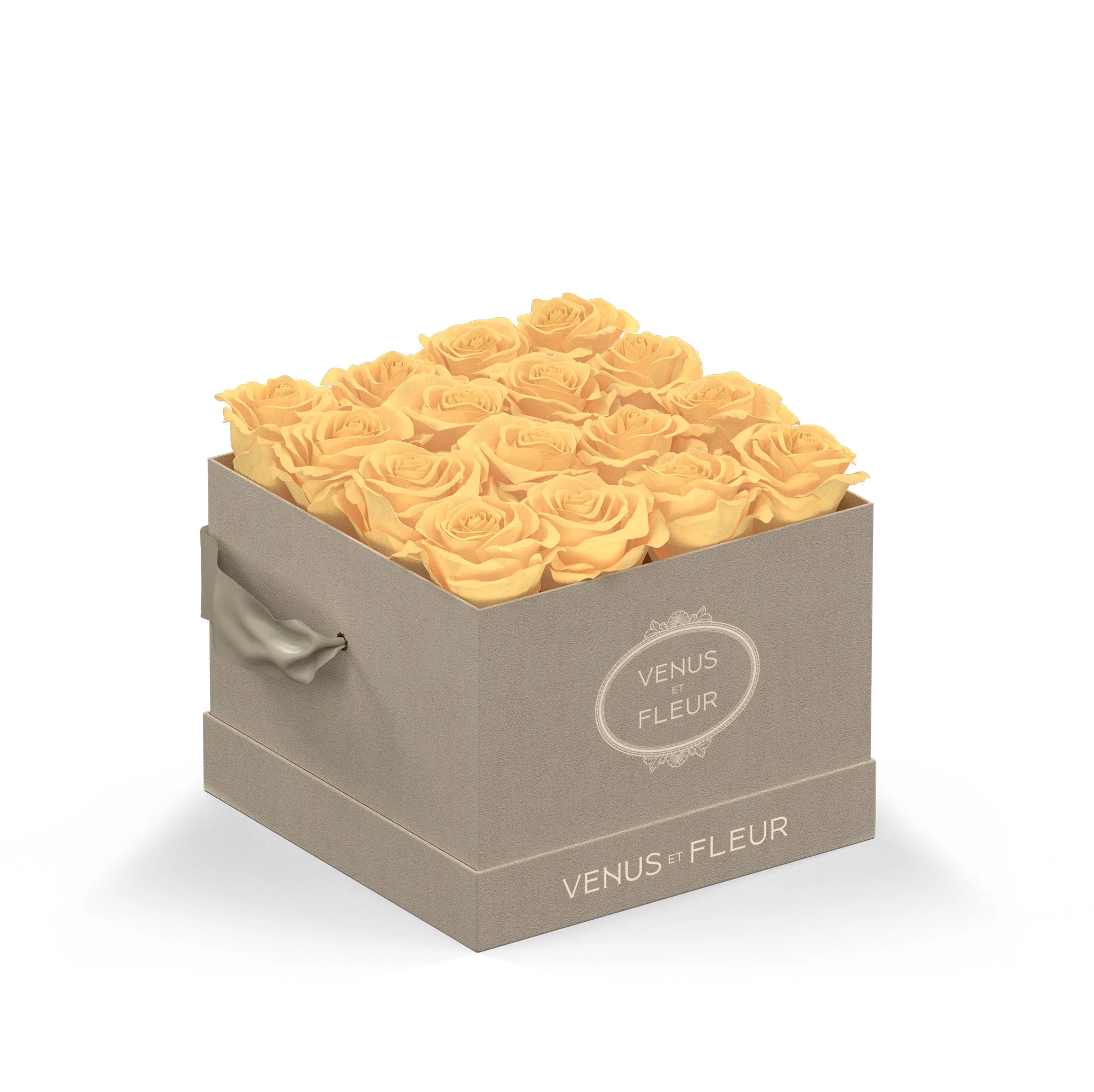 Small Square - Image 8