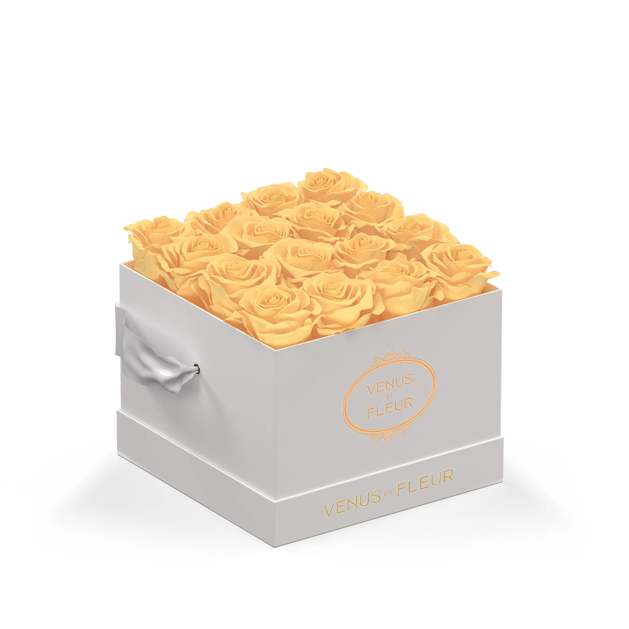 Small Square - Image 11