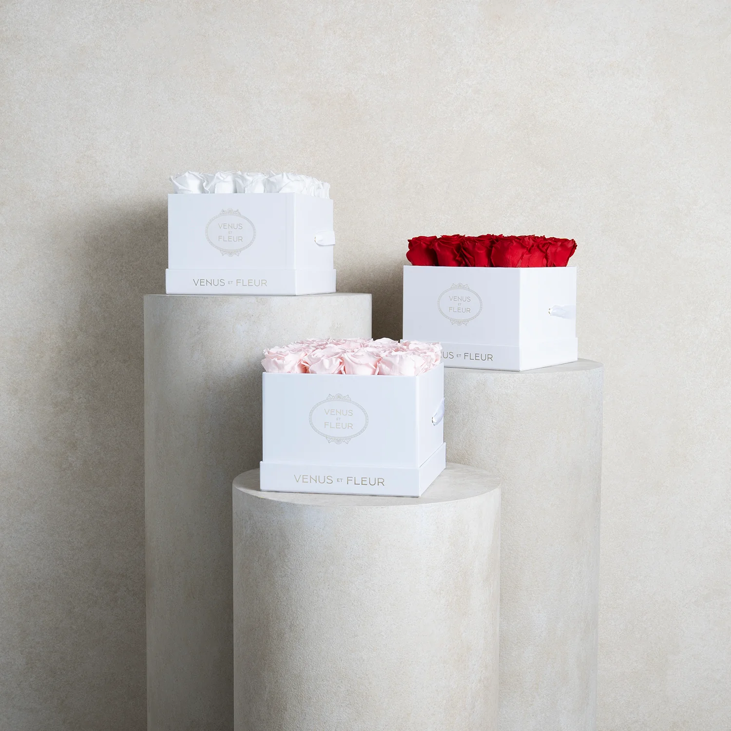 Small Square - Image 14