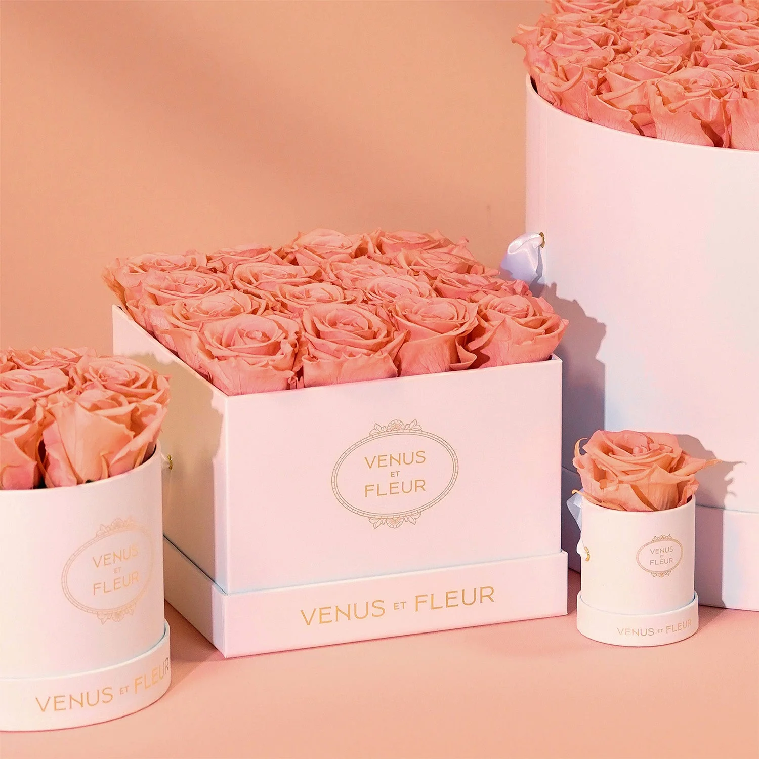 Small Square - Image 16