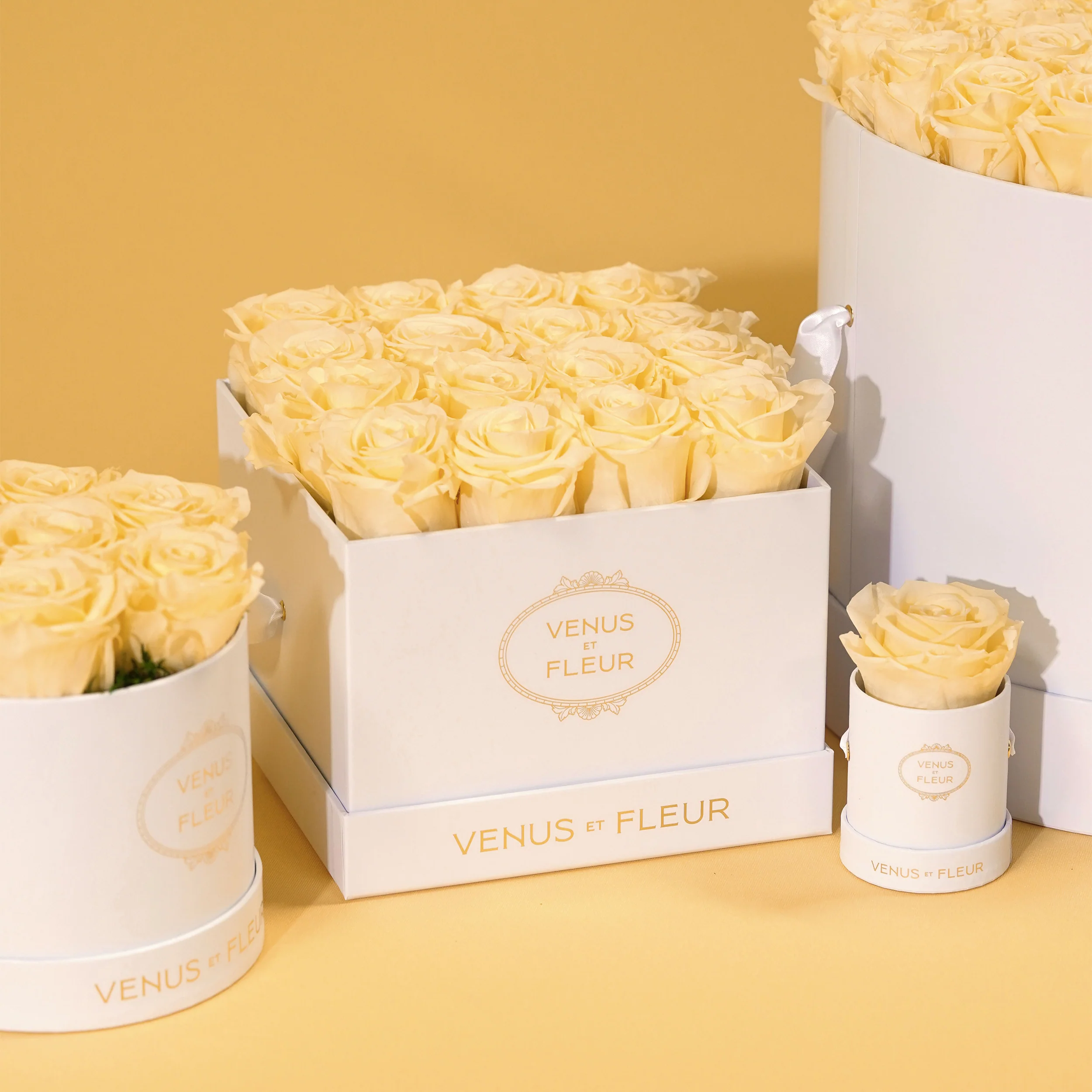 Small Square - Image 18