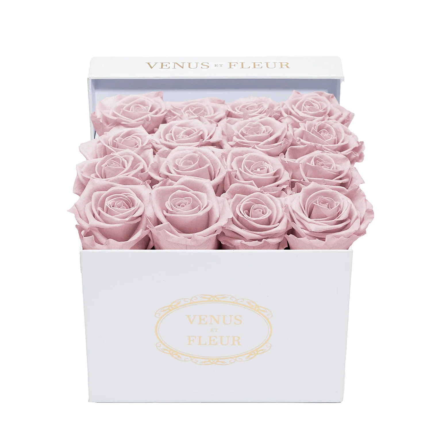 Small Square - Image 19