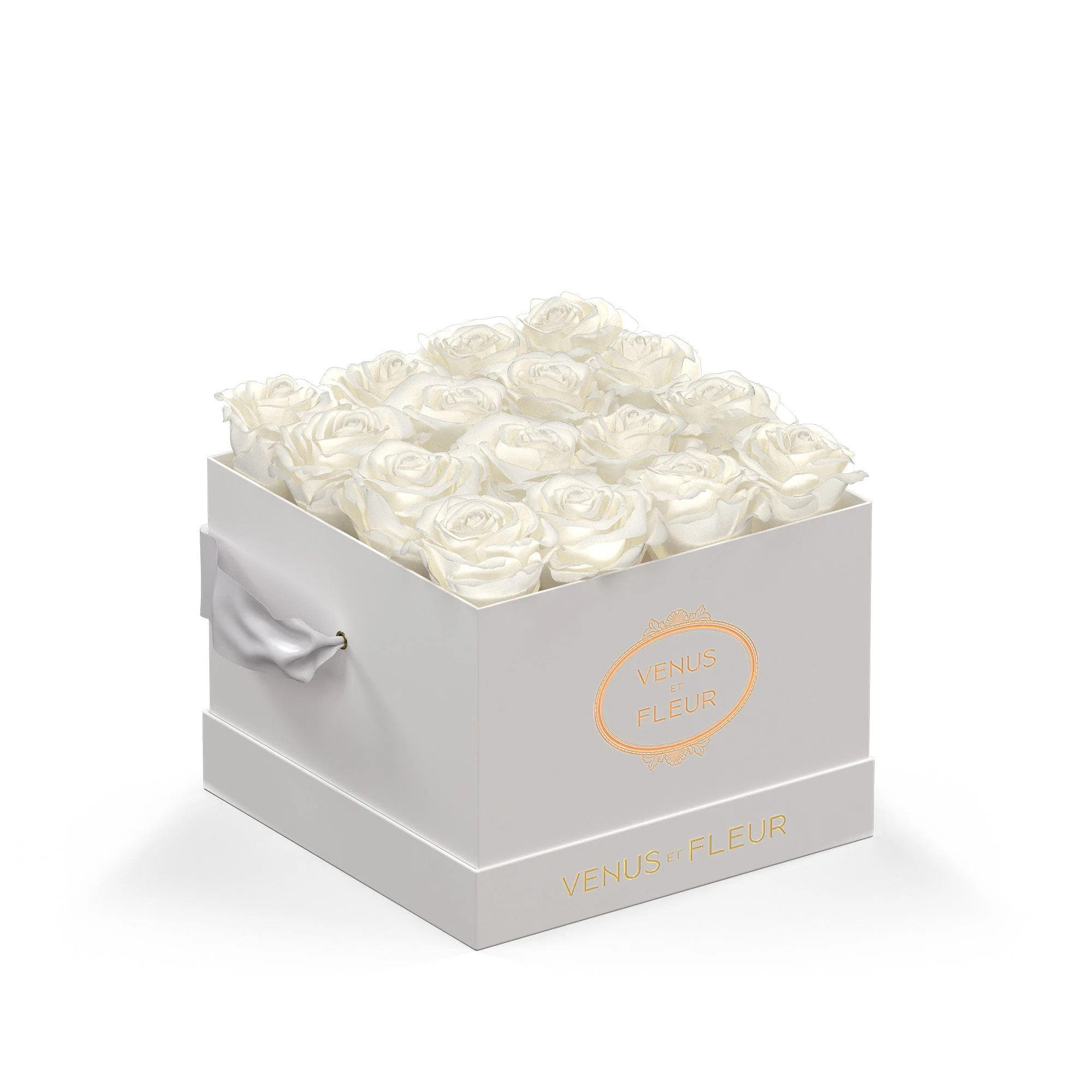 Small Square - Image 3