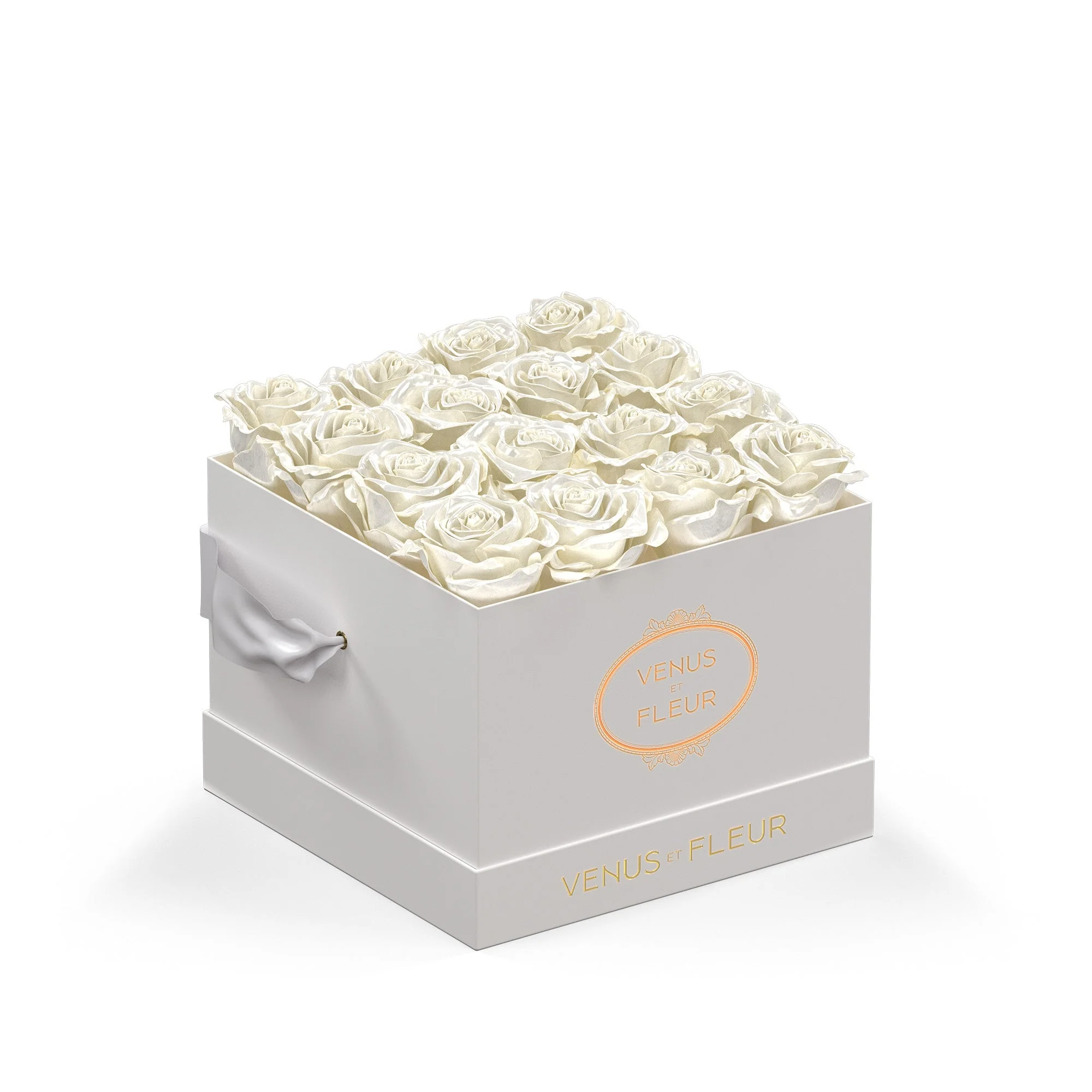 Small Square - Image 4