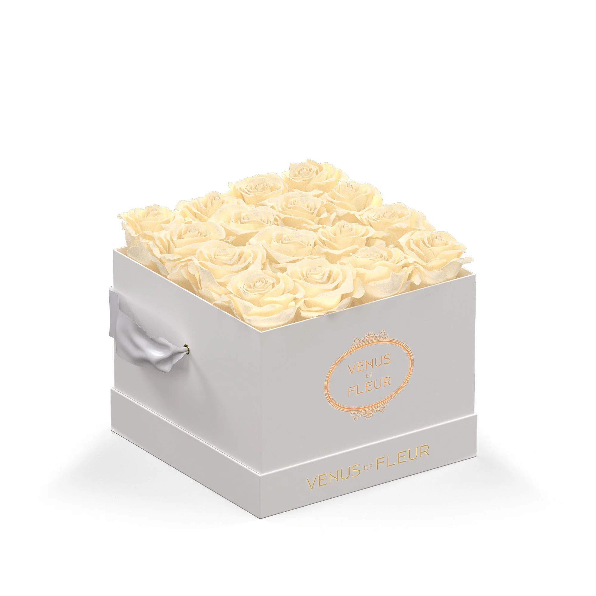 Small Square - Image 5