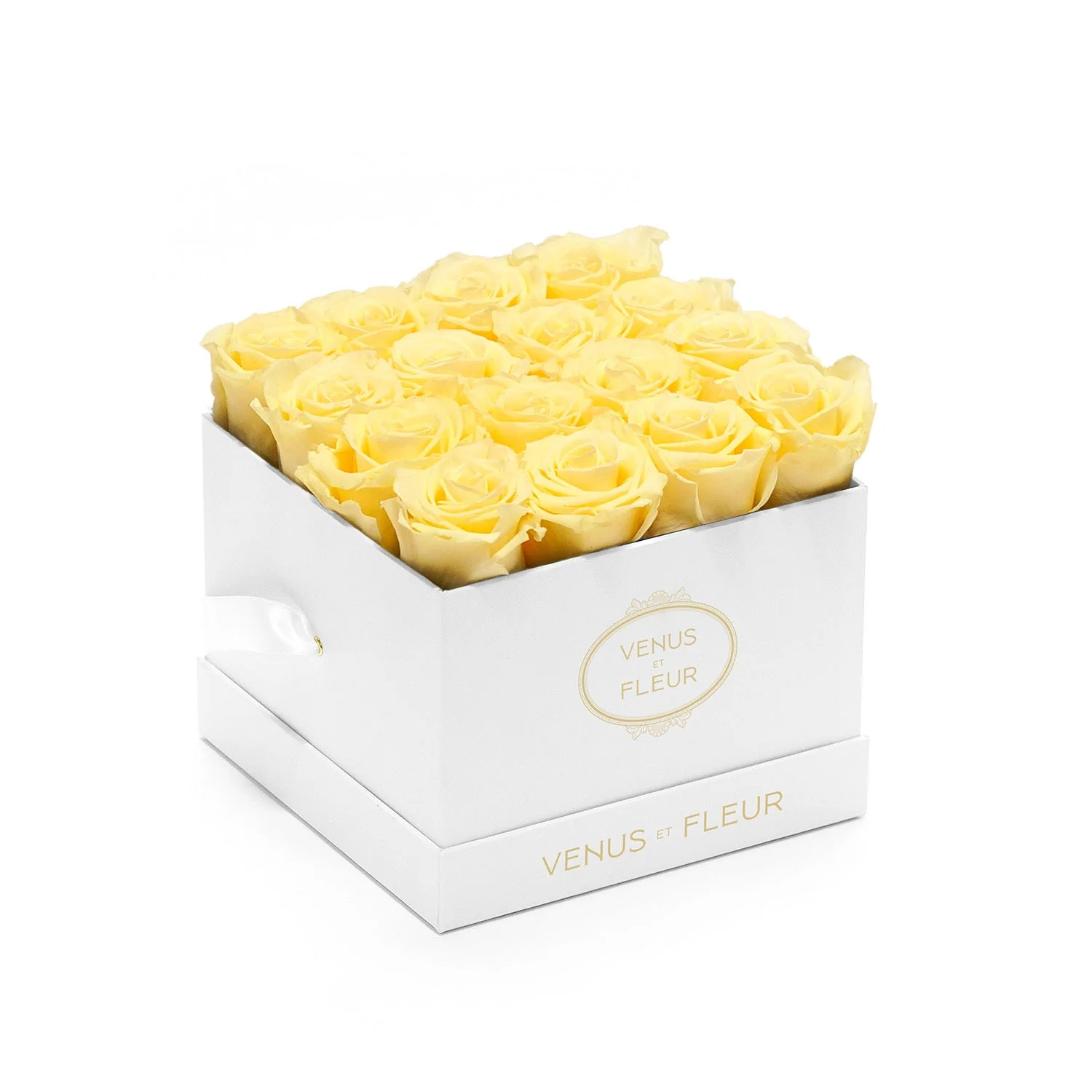 Small Square - Image 9