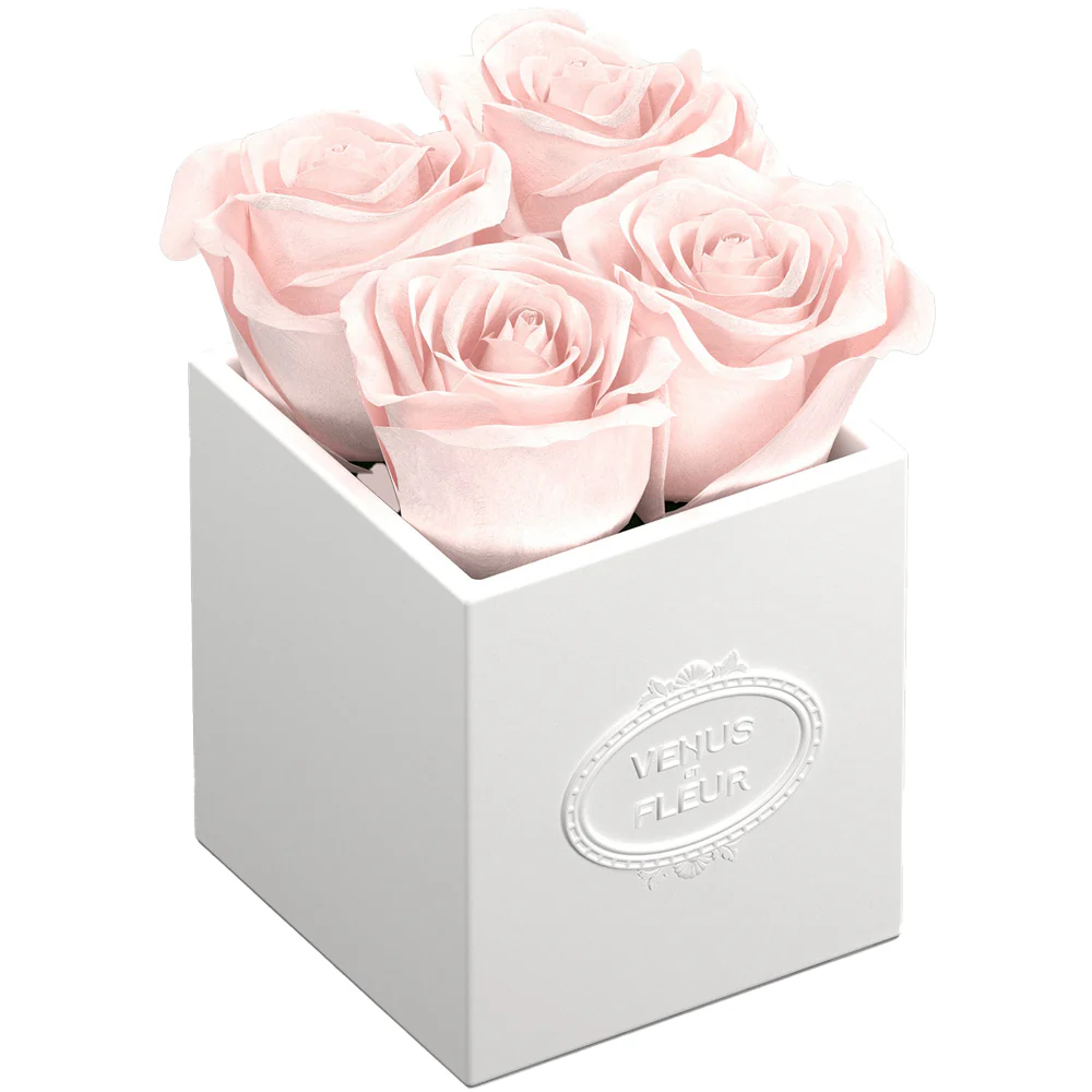 Sylvie Porcelain Vase - Image 15