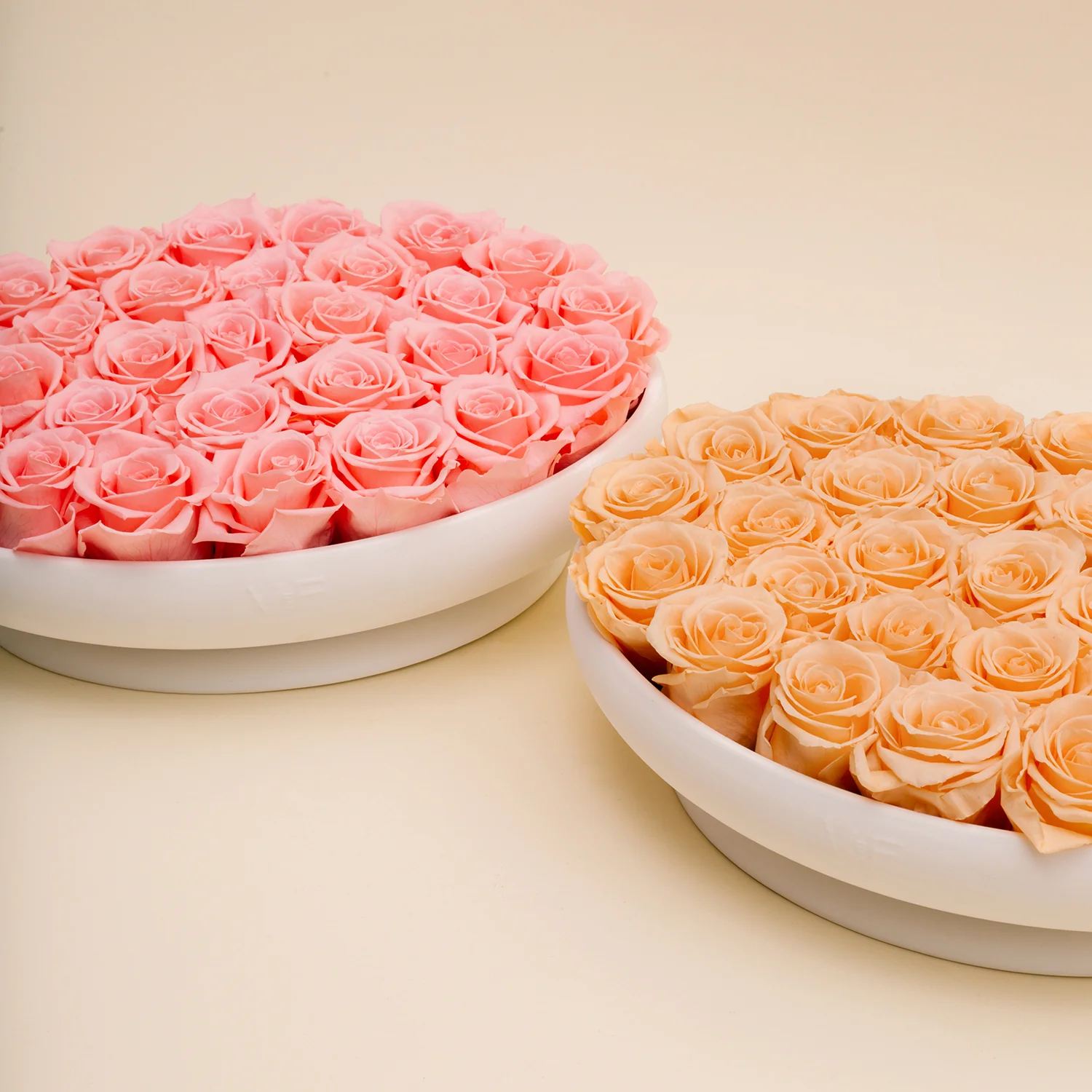 Tazza Porcelain Vase - Image 12