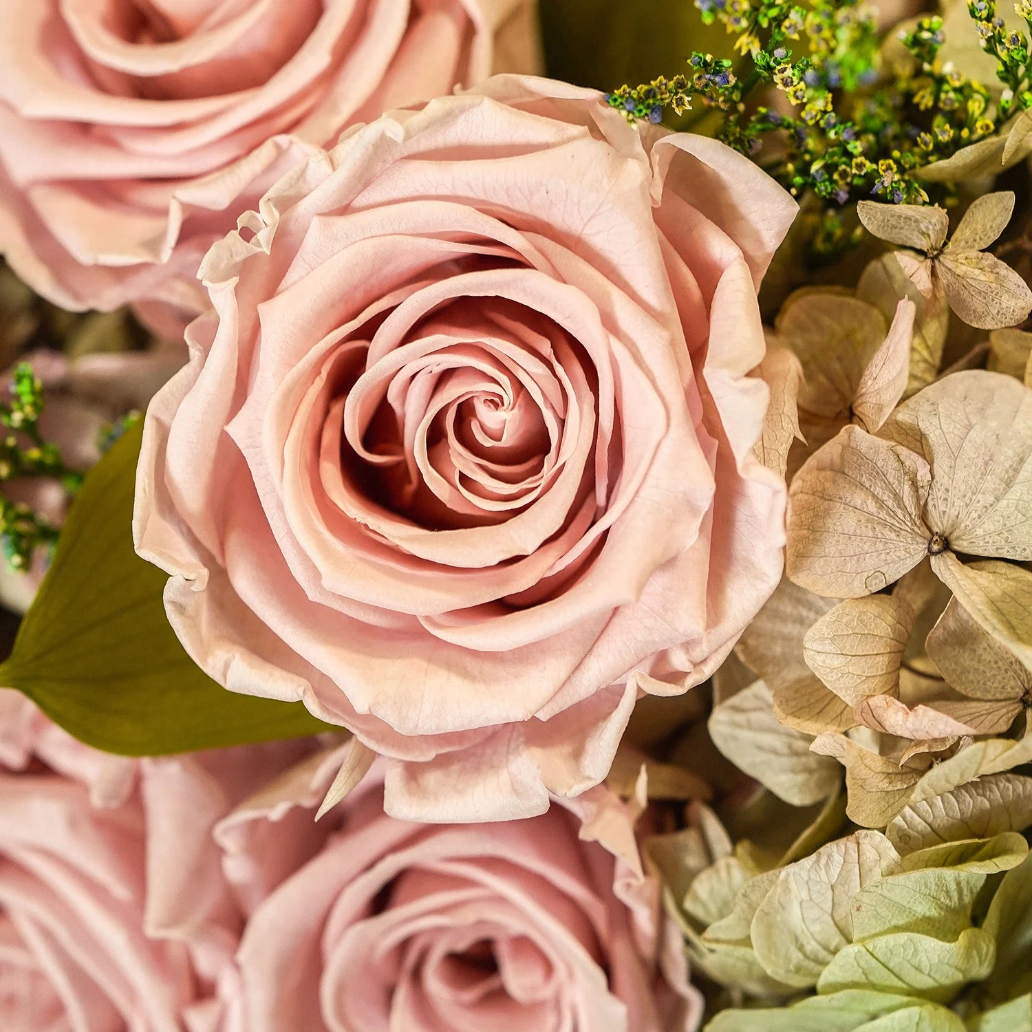 Thalia Porcelain Vase Roses & Hydrangeas - Image 8