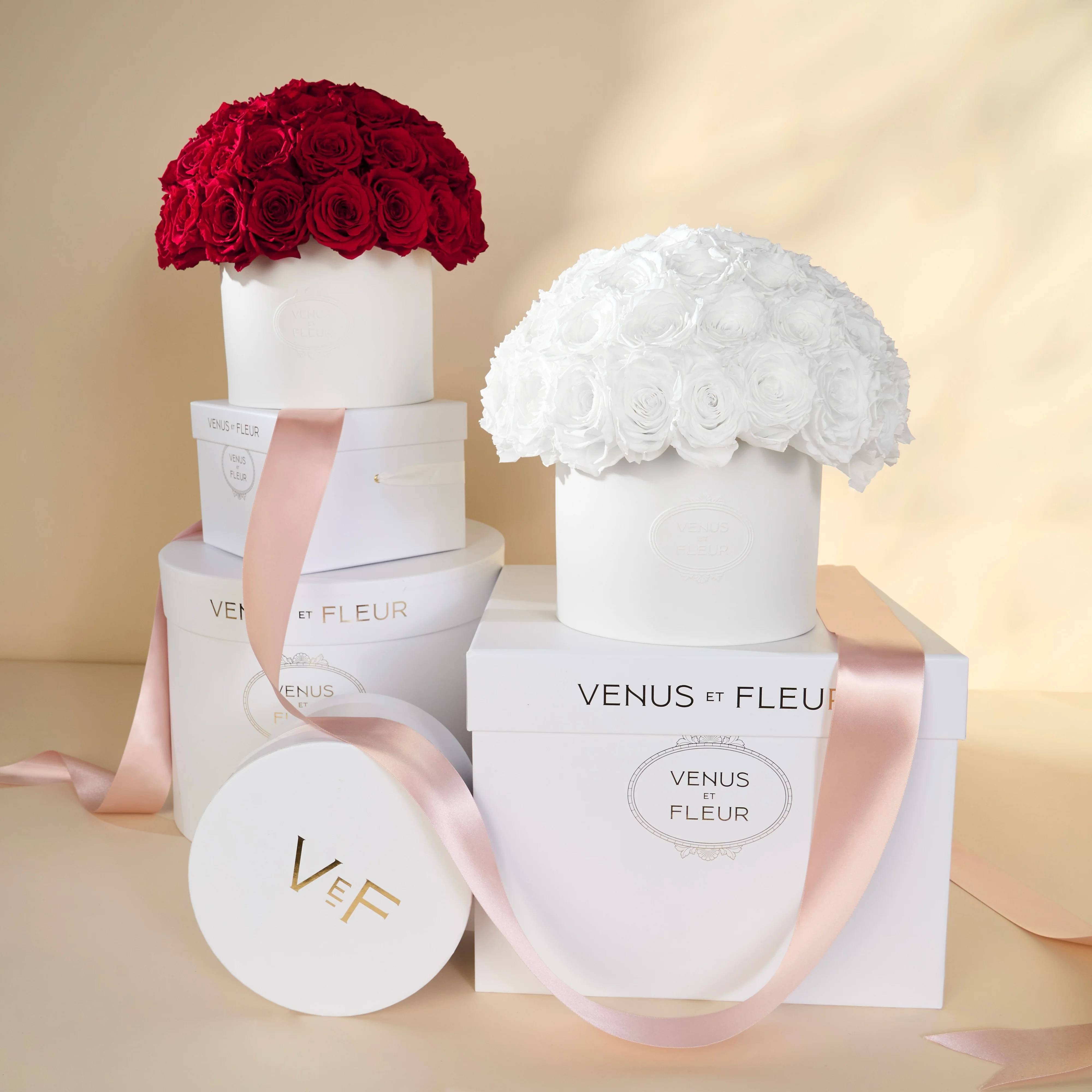 Thalia Porcelain Vase - Image 17