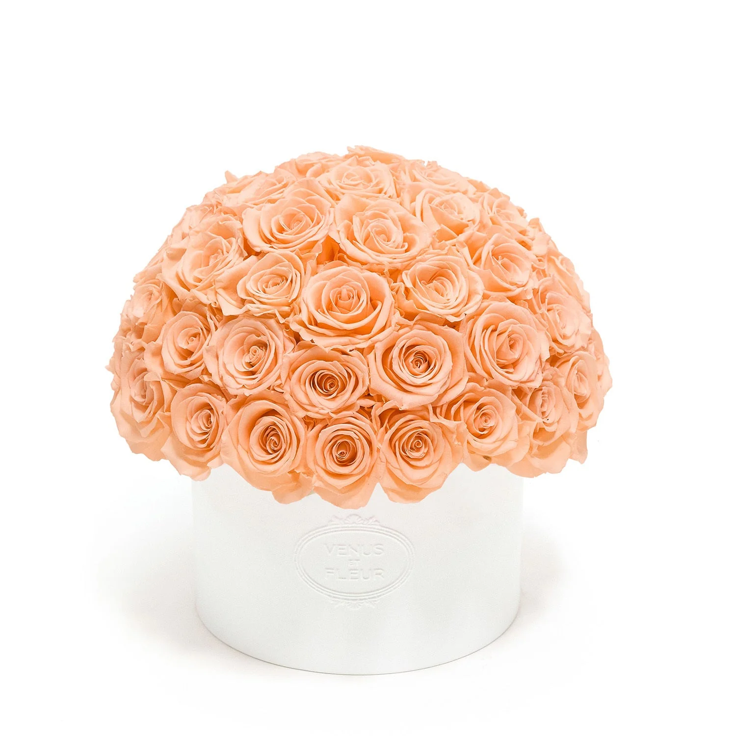 Thalia Porcelain Vase - Image 6