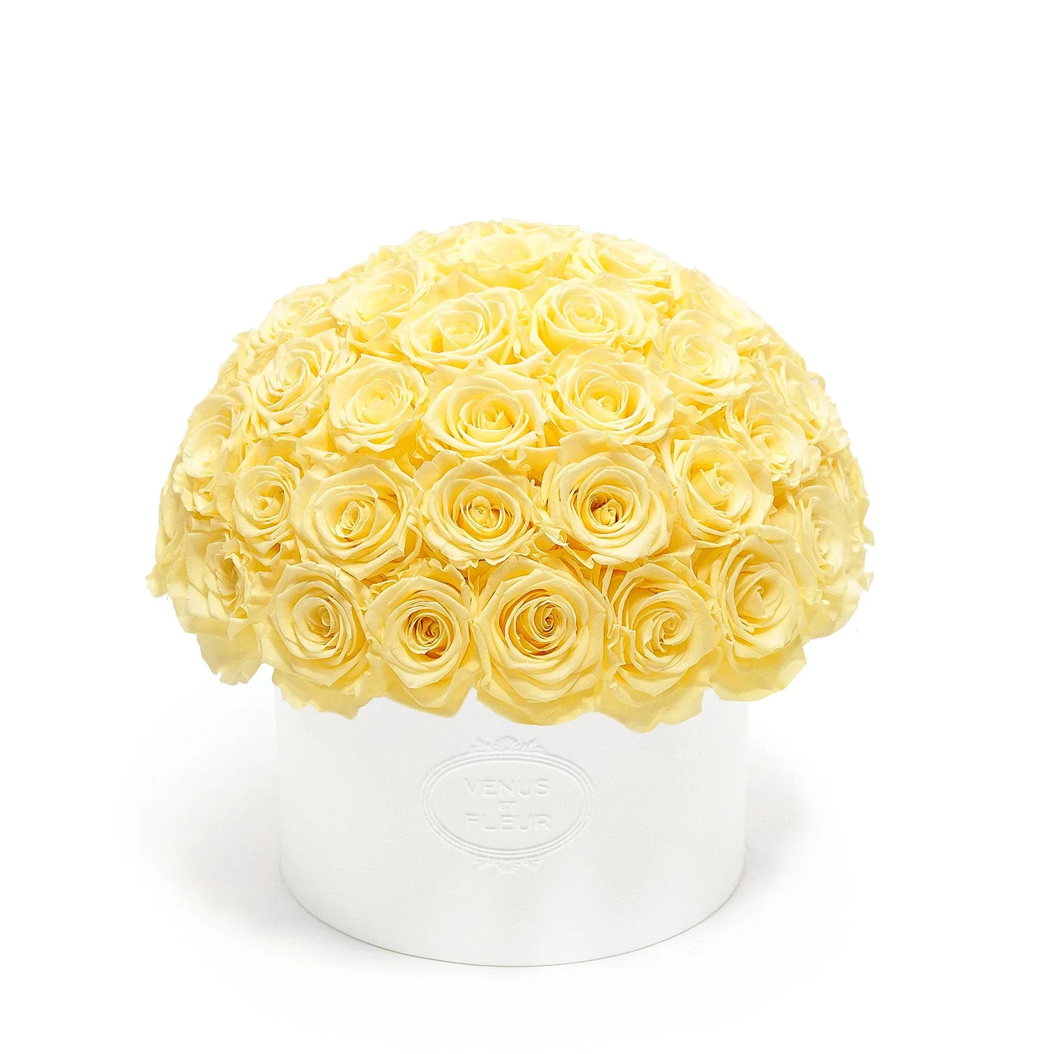 Thalia Porcelain Vase - Image 9