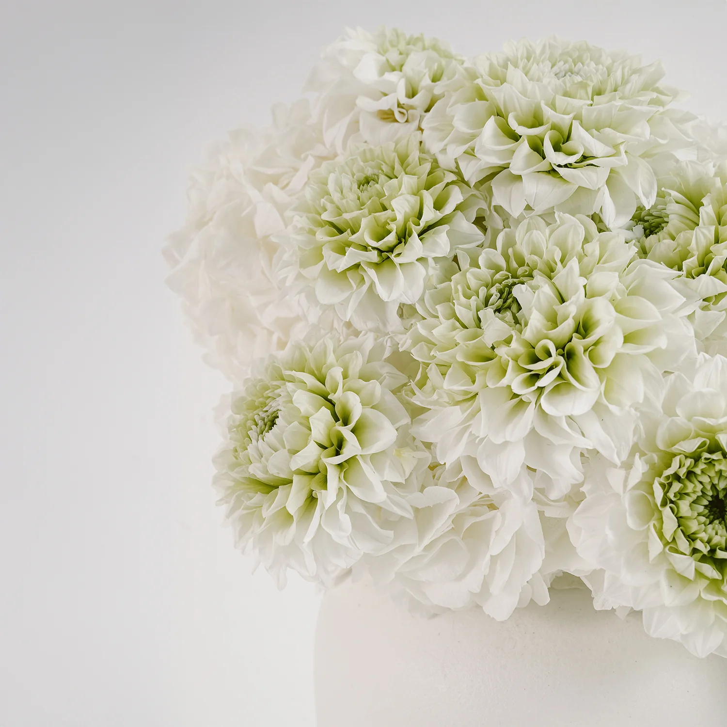 The Grand Venus - Image 4